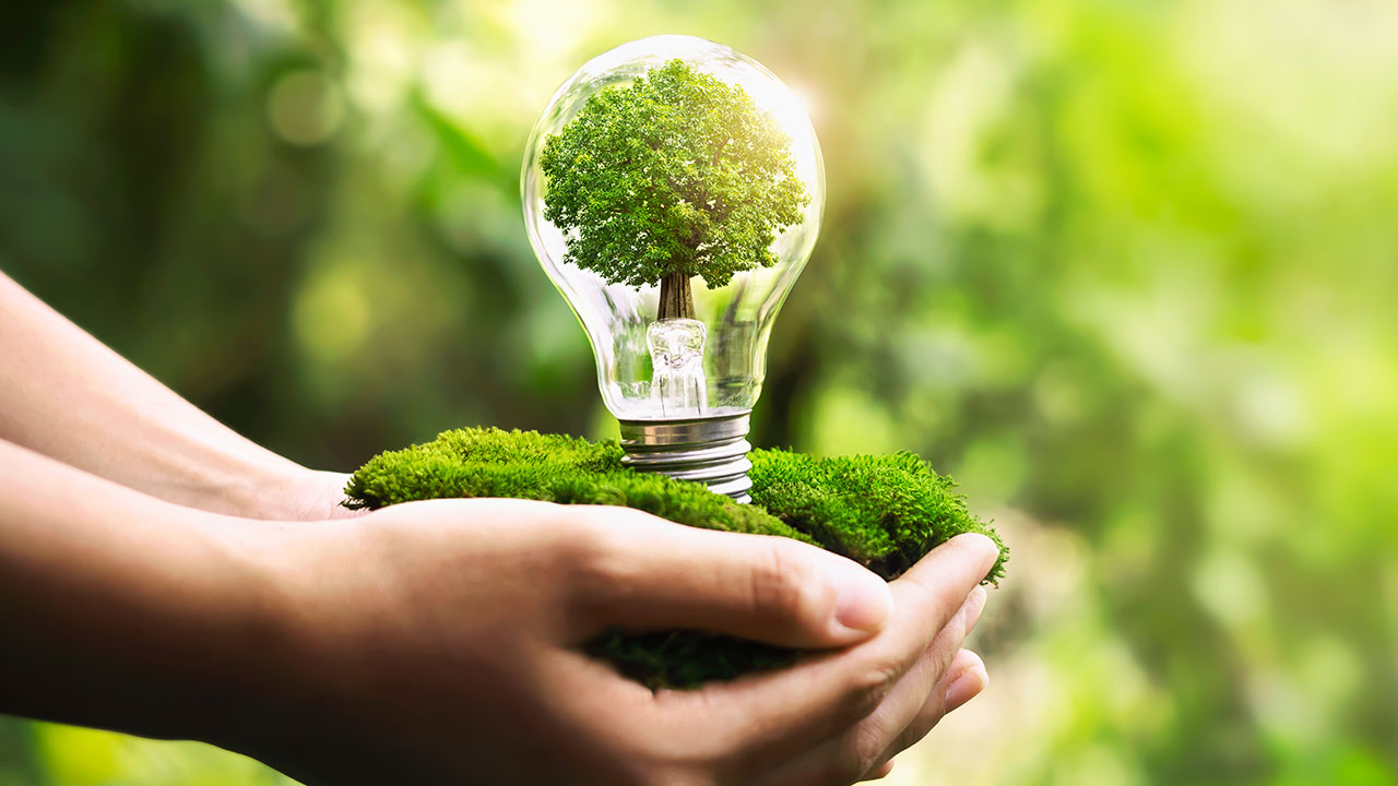 Sustainable Living: How to Make Green Changes in Your Life Every Day